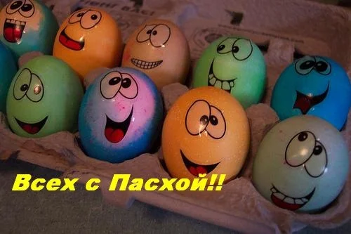5b62bf4ac79c.webp