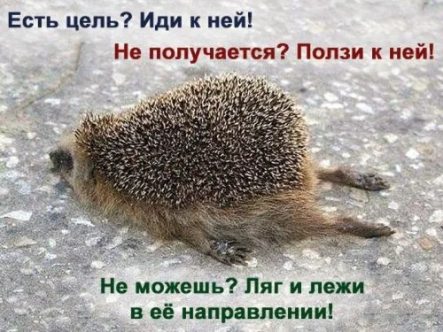 5bdbdc278c00.webp
