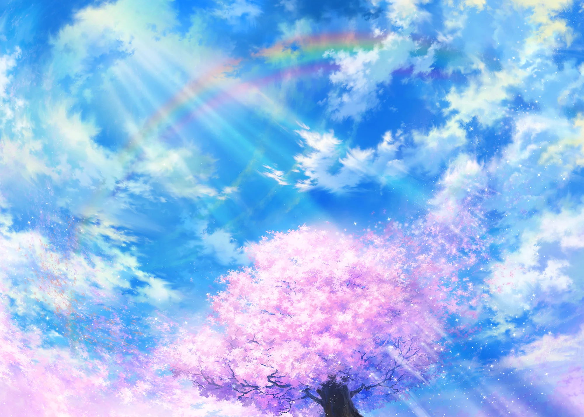 5c9830304795.webp