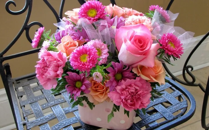 5d24e703257a5ebcbd39bb25d4f139cf.webp