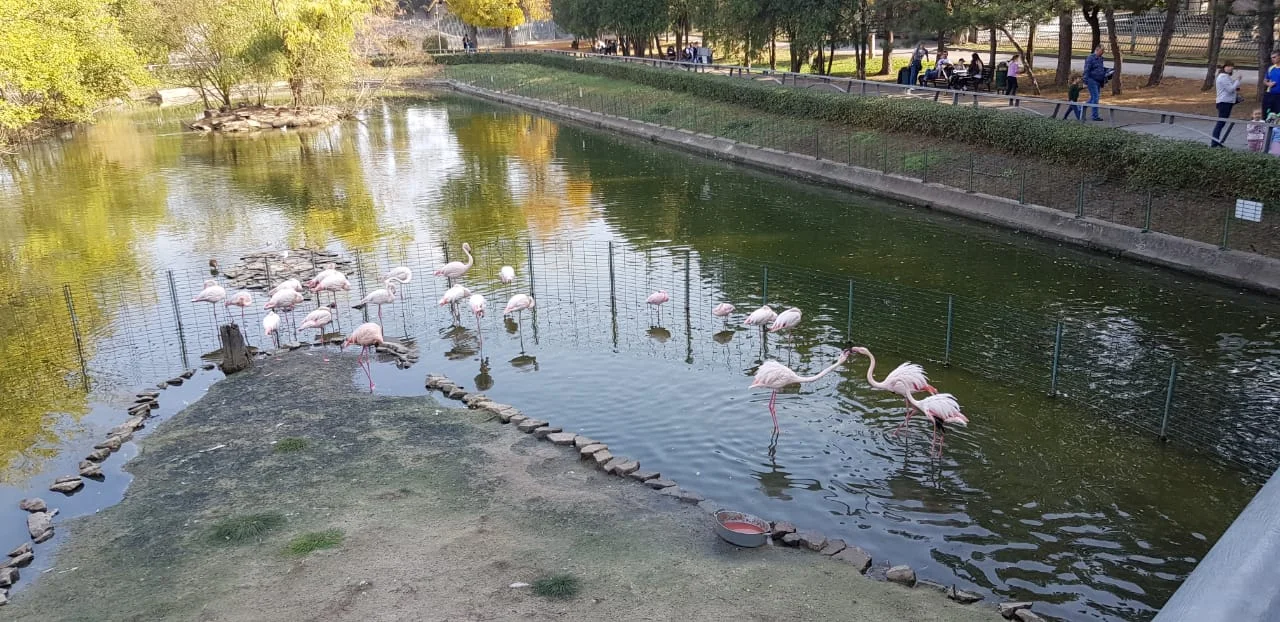 5d92ce11-d49c-4c0f-9102-d3f3d77b827b (1).webp