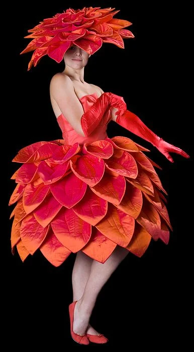 5dec48f1ccf811695376c31cfdf1a75c--costume-rose-flower-costume.webp