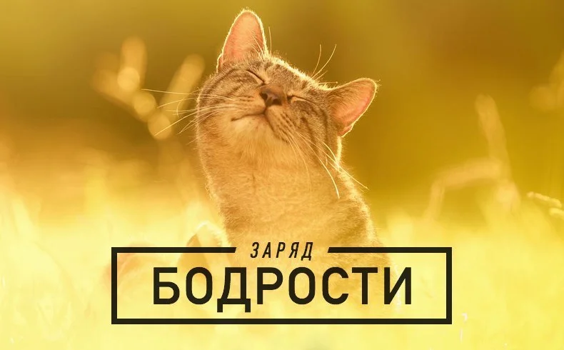 5xo2jYqwDvE.webp