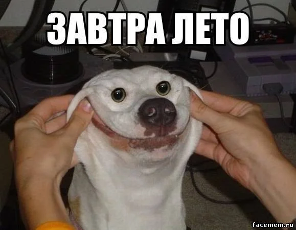 5ZFvjUiUoLo.webp