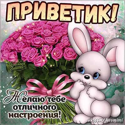 5zpUjWc_fts.webp