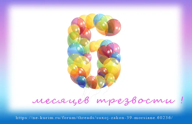 6 месяцев.webp