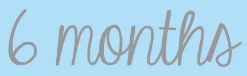6-months-500x155.webp