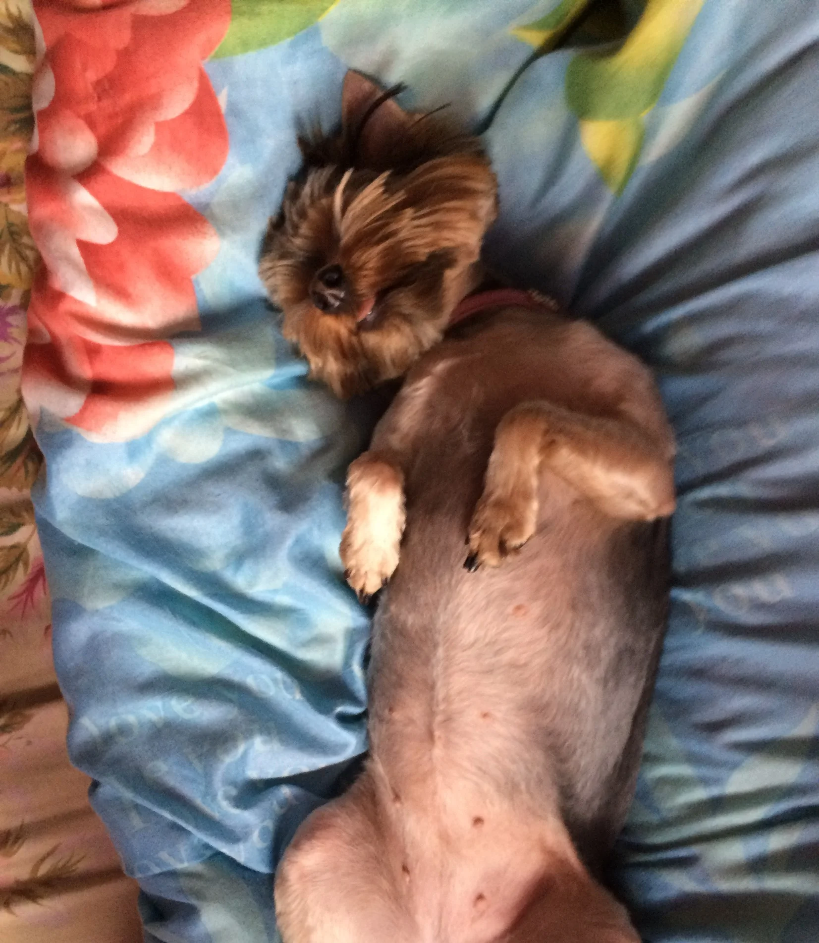 6. Ульяна-2.jpeg