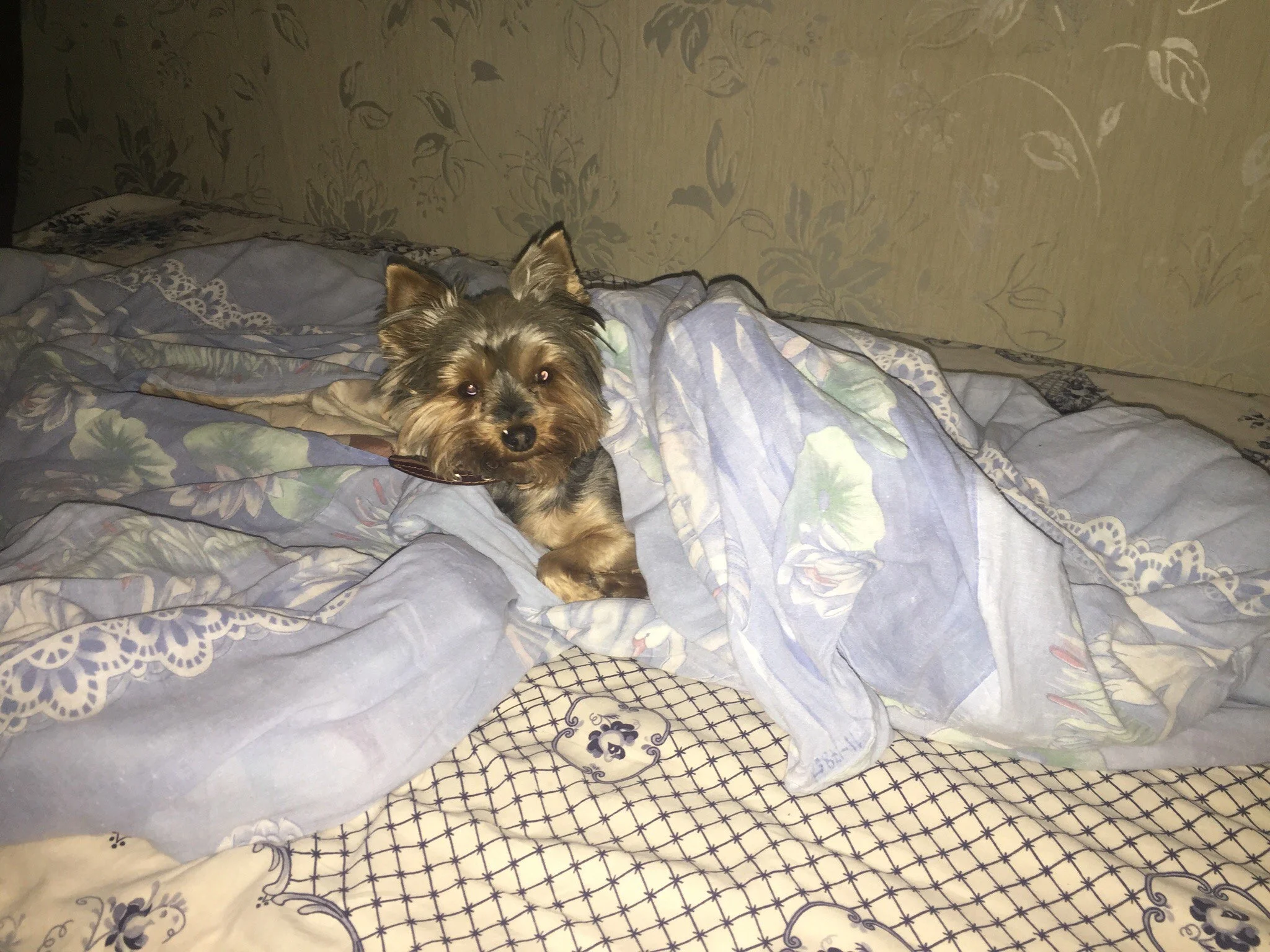 6. Ульяна-3.jpeg