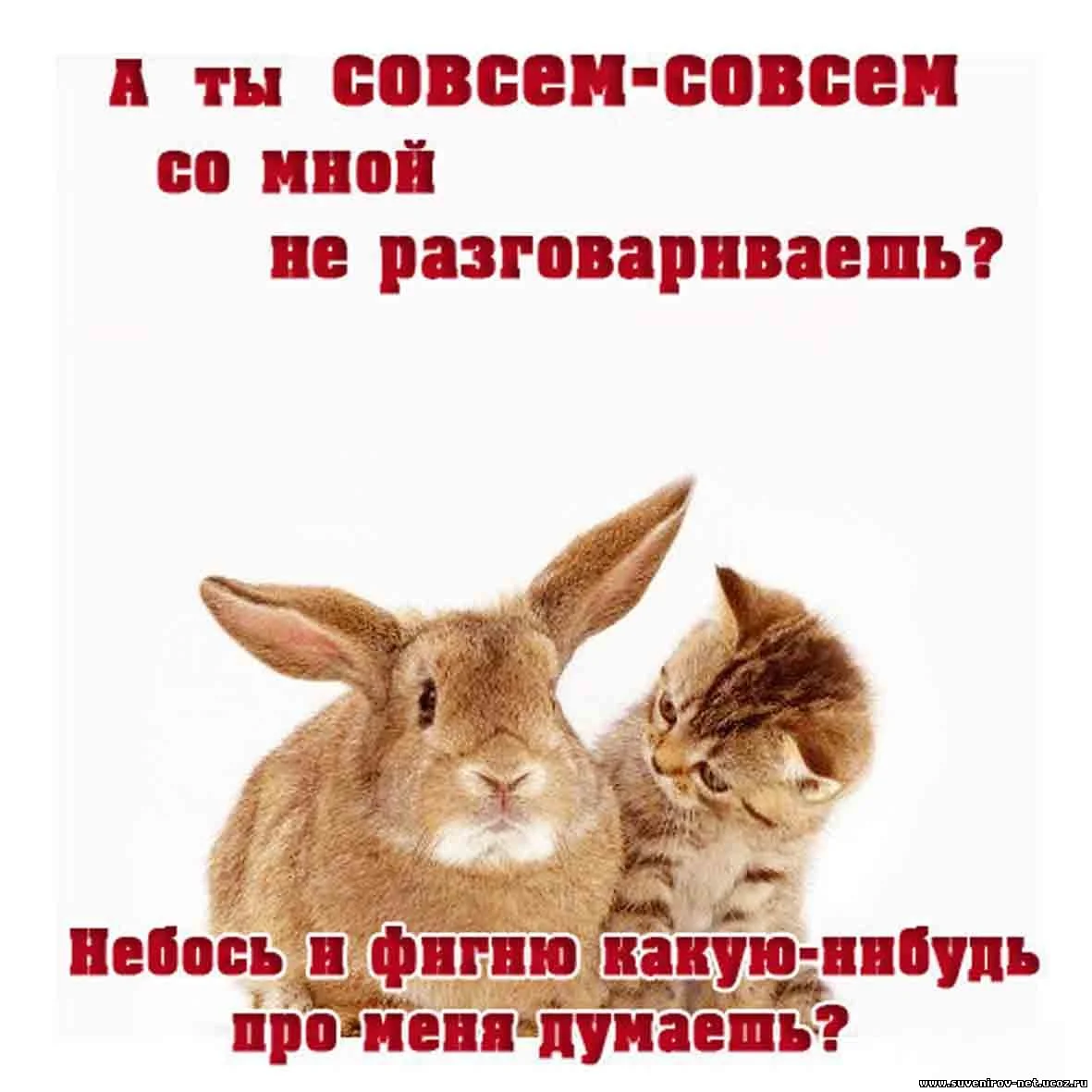 6.webp
