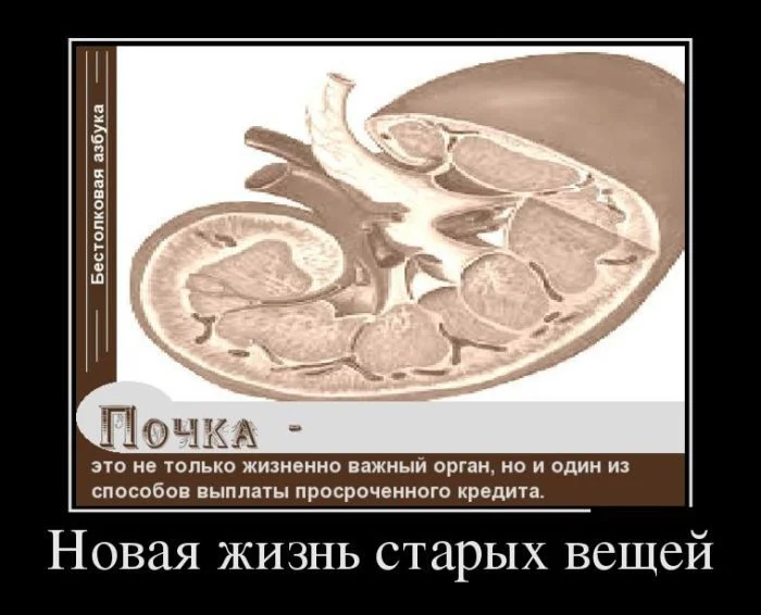 6.webp