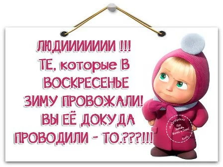 6.webp