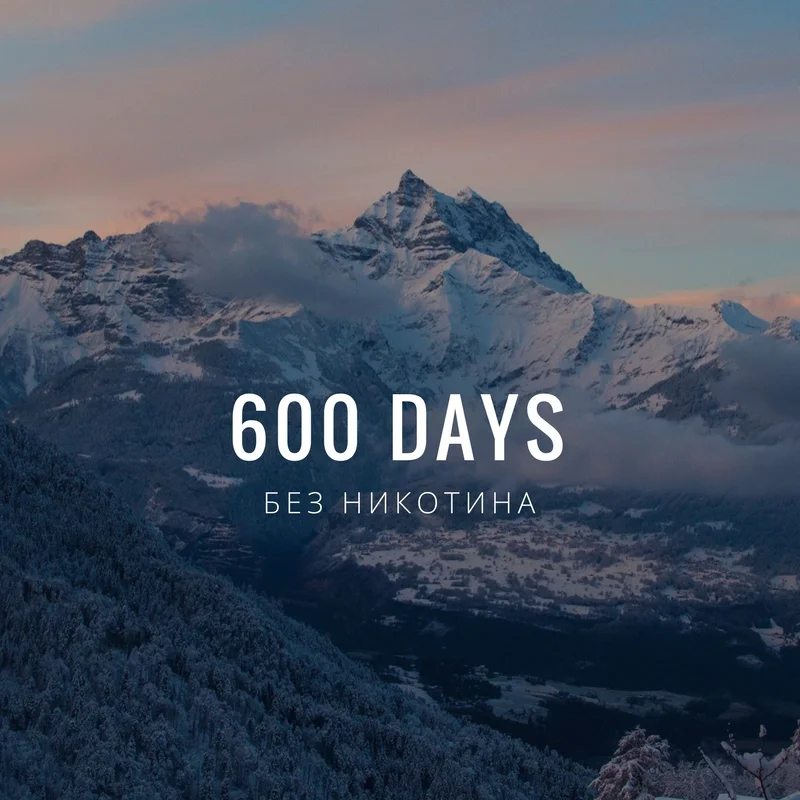 600 DAY.webp