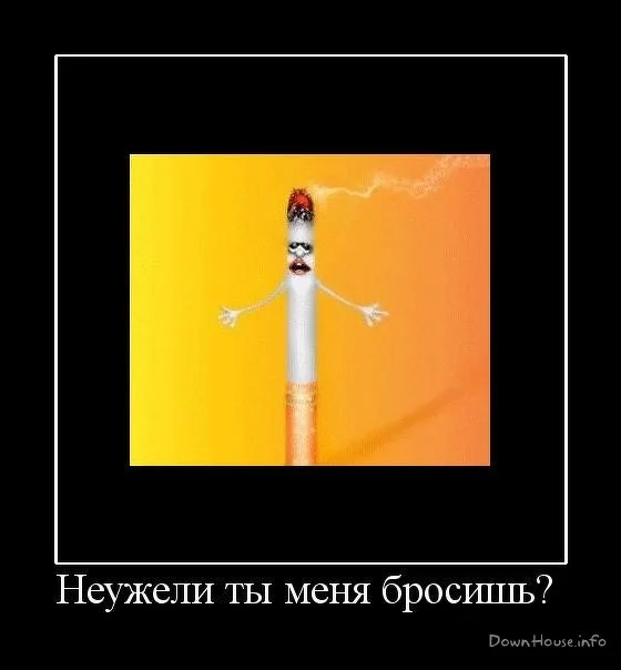 600x720-acd35547695a441e6dd148191fc64e82_58048.webp
