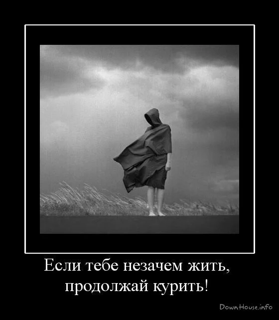 600x720-adaae269d046ae76cba660343553b05e_58048.webp
