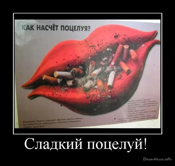 600x720-bad404d00714a4f24c098b7d578a7f13_58048.webp