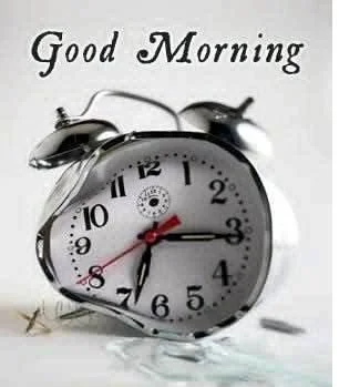 60b78483d810c80f6c09041842a314f4--alarm-clocks-morning-person.webp