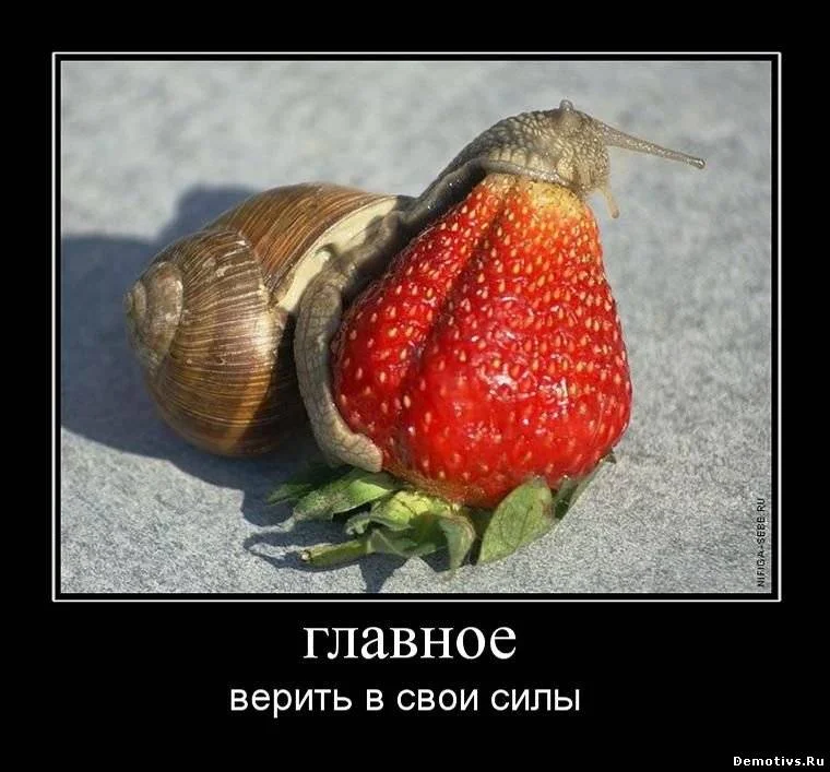 61084157.webp