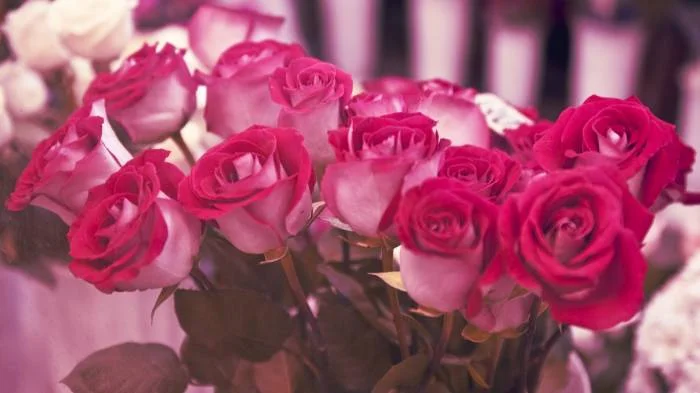 616066994.webp