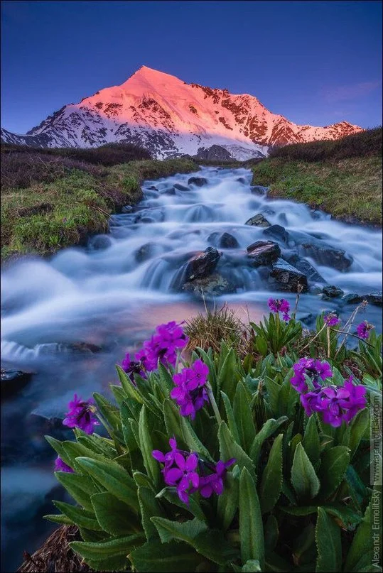 616bc30cc497226e1240548d9e83ef42 (1).webp