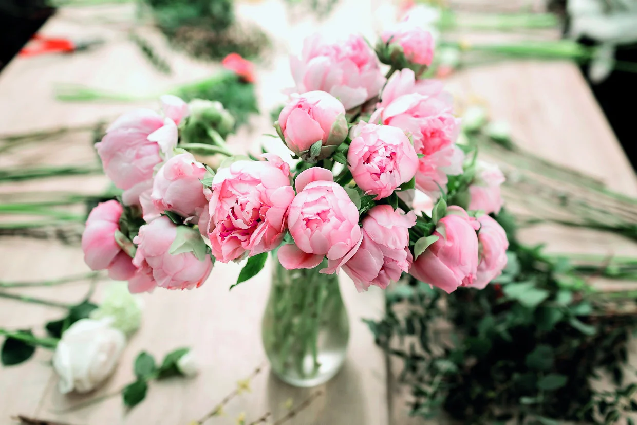 61_shutterstock_649866682 (1).webp