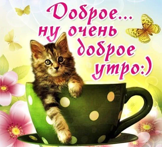 62.webp