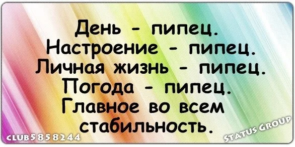 6225316b742c.webp