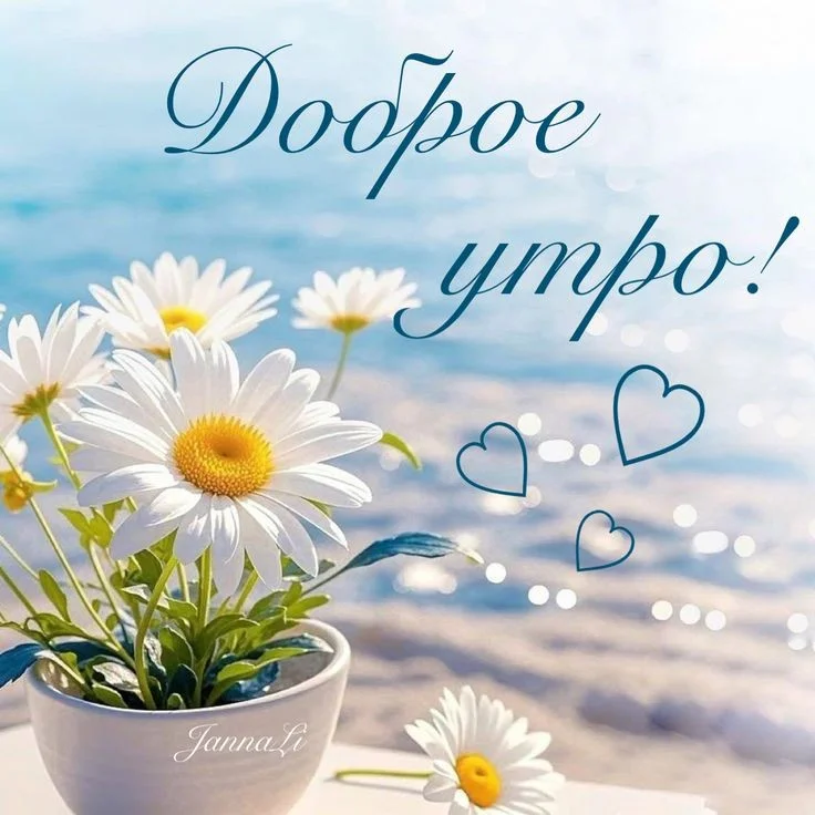 6289f80108386fbb42c3f6c279726307.webp