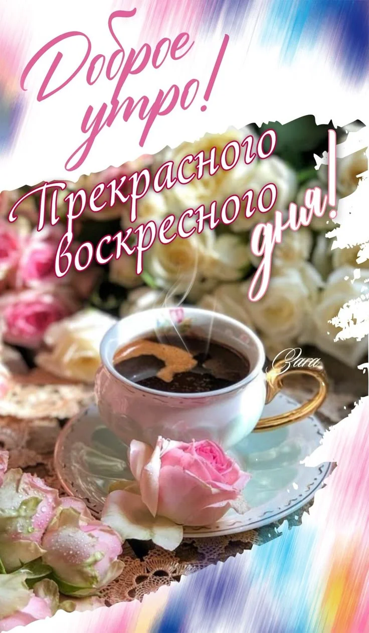 6294bca9f0effbc23025b465f64a8f5a.webp
