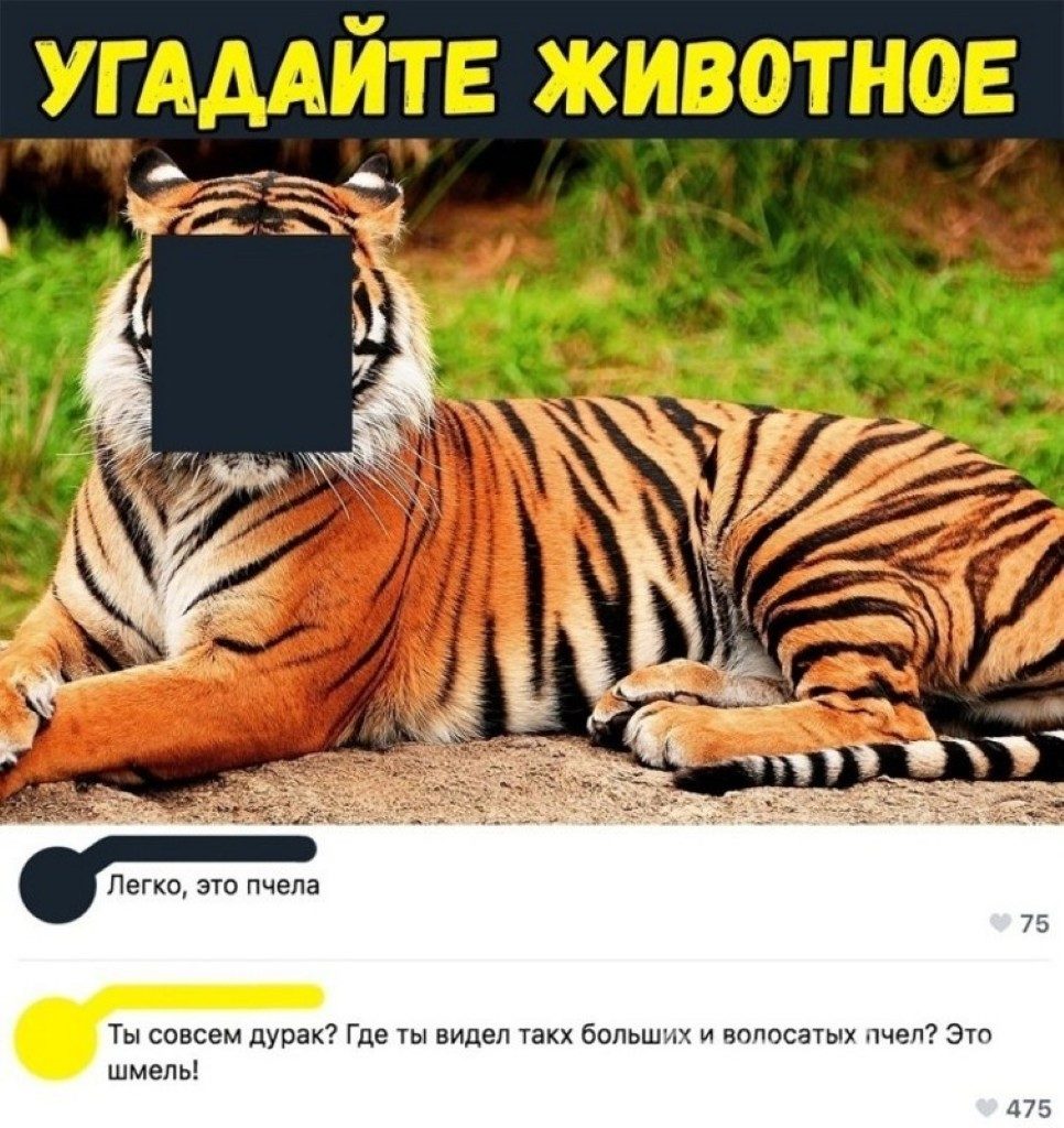 62E4EAAE-3EC2-45CA-AA88-5F710EA268D2.jpeg