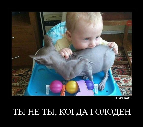 62fbaf1f779c64a4d3572c6c38368f8b.webp