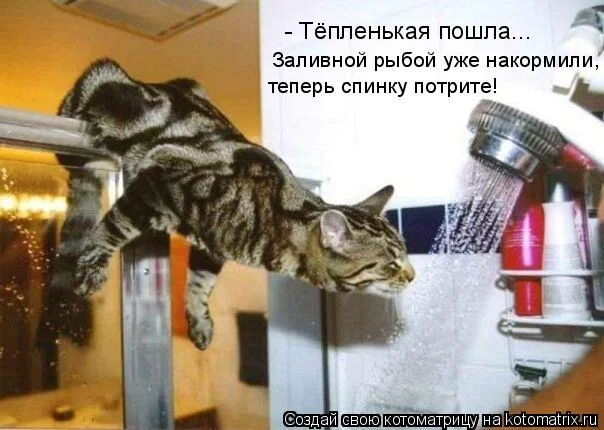 632532.webp