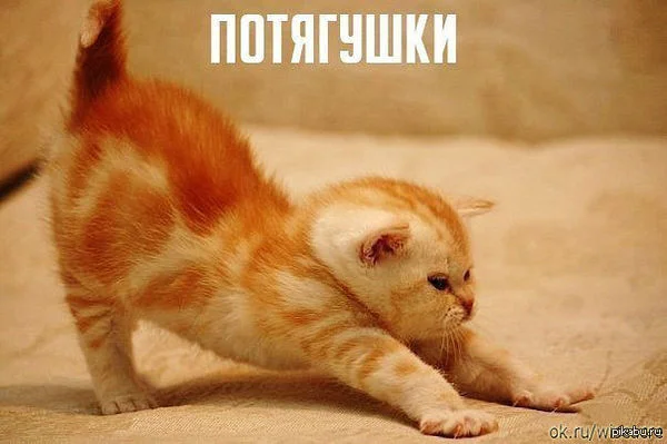 63440_600.webp