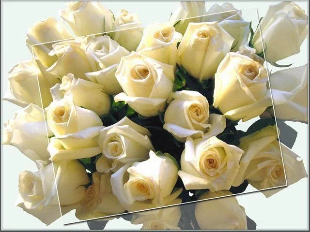 639900ae1394.webp