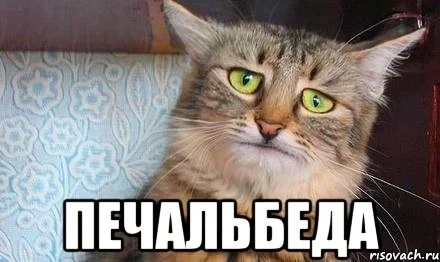 63bc53cs-960.webp