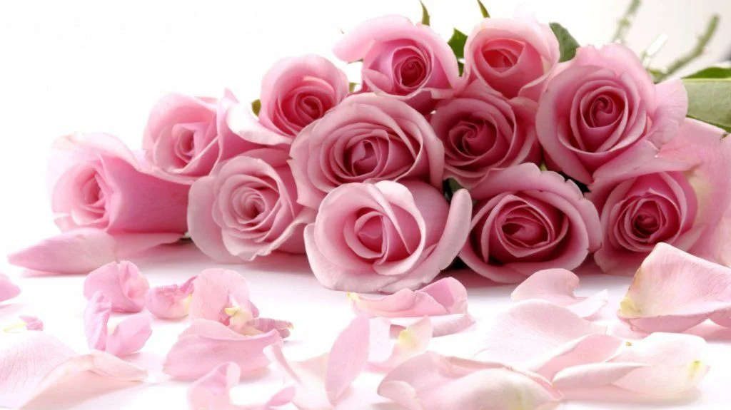 64133-1366x768.webp