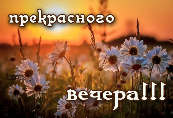 6415646.webp