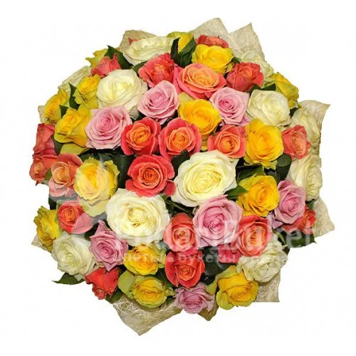 65 роз микс-500x500.webp