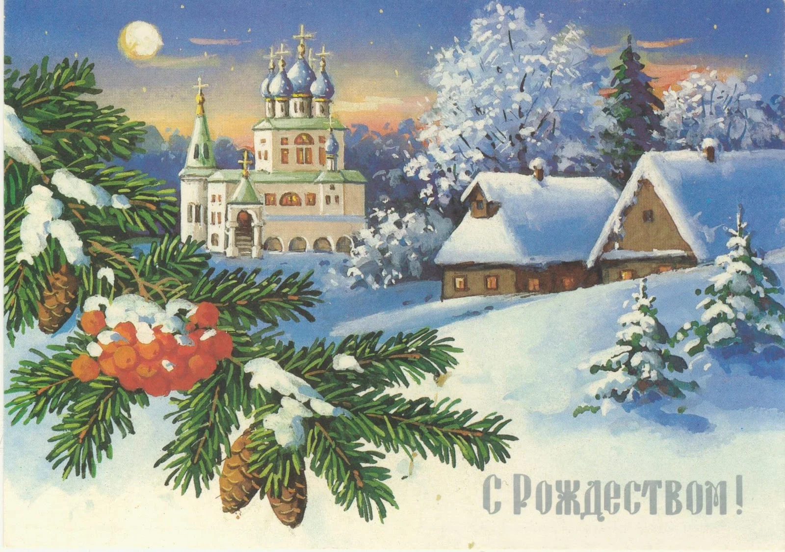 65.webp