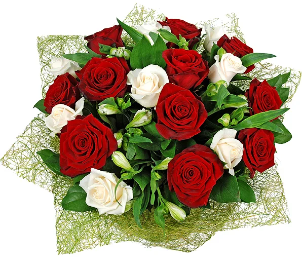 652366a1014470cde51d96ab2ce99532.webp