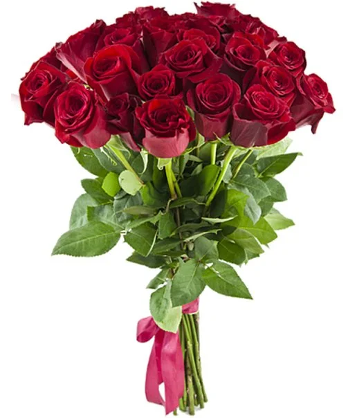 65656565665-09.webp