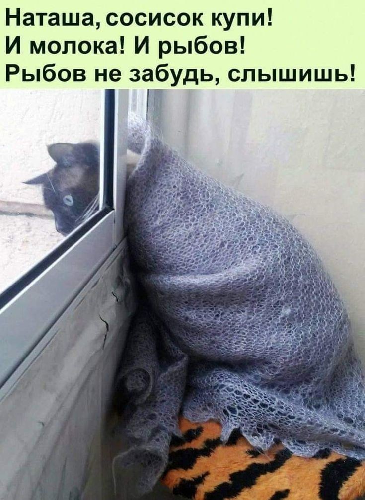 65fff766fa005d5c80036d094d9b8db8 (1).jpg