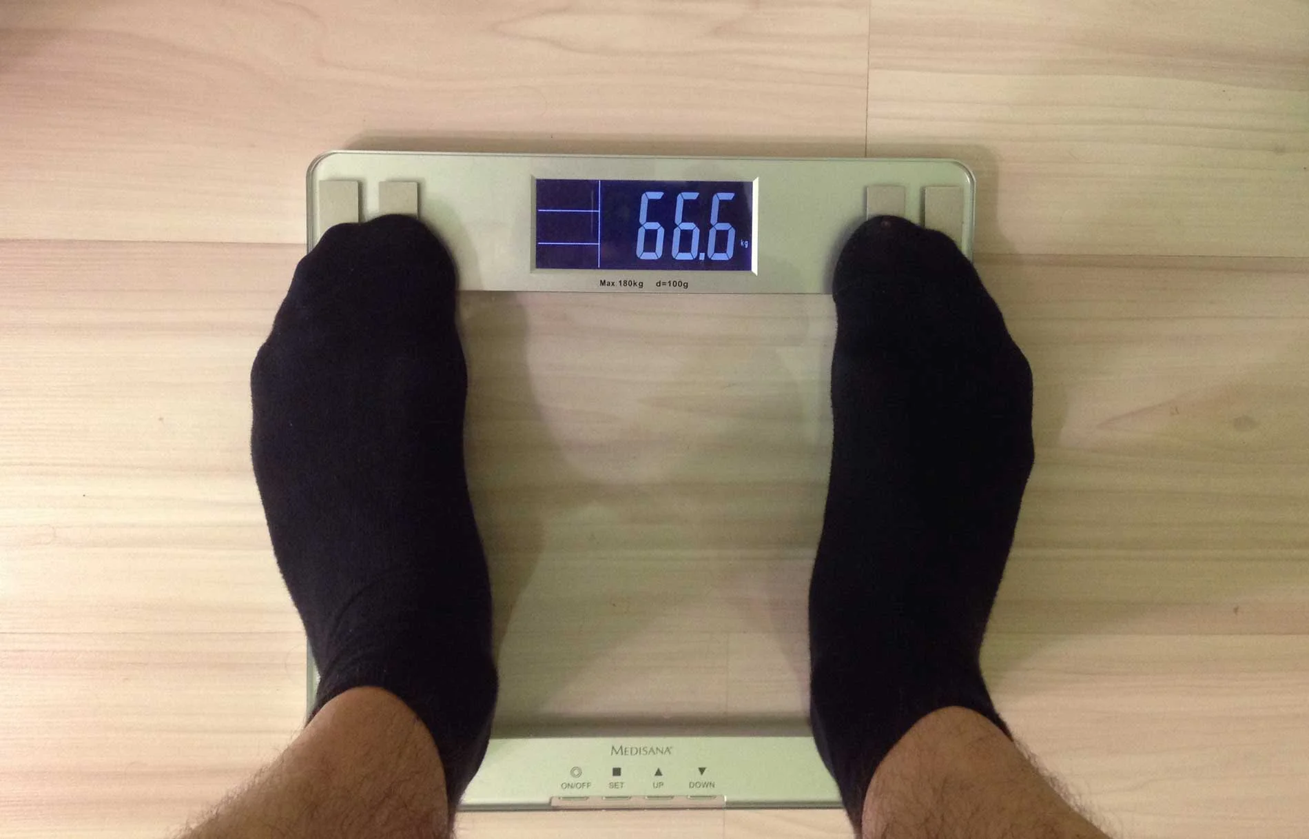66.webp