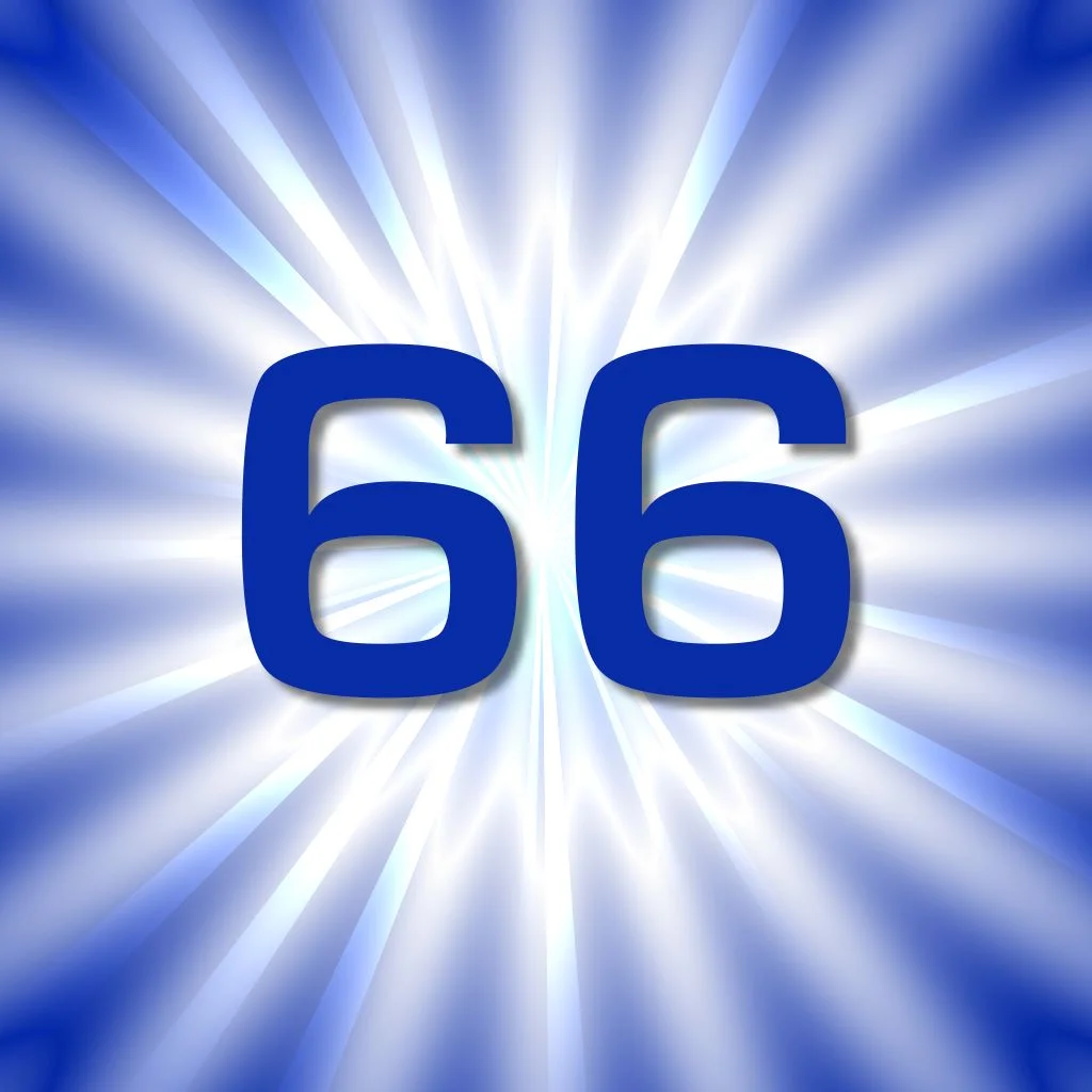 66.webp