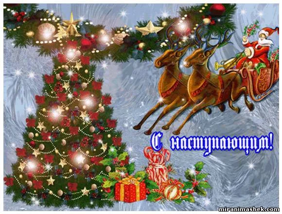 660344618.webp