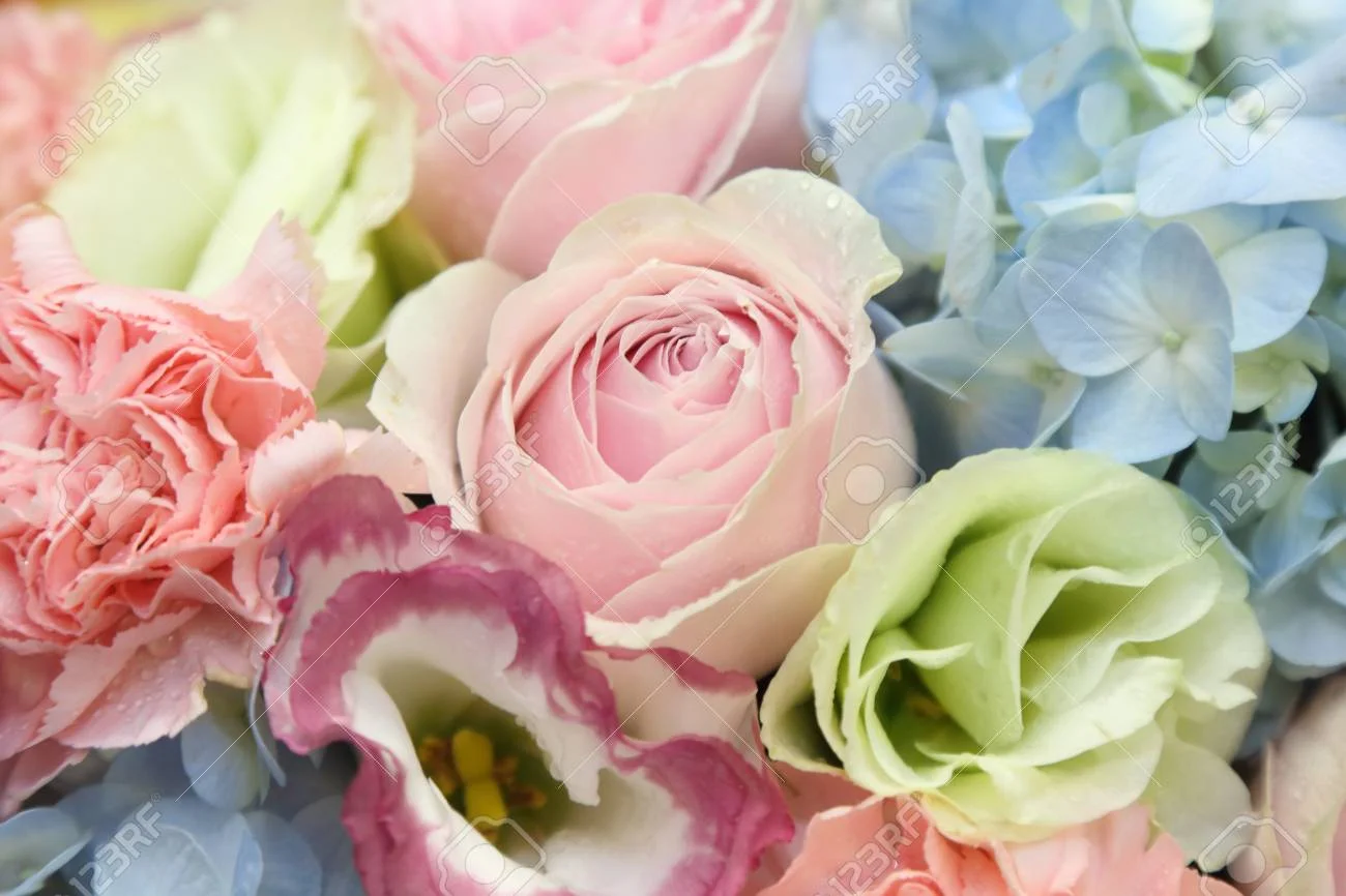 66337824-background-of-flower-bouquets.webp