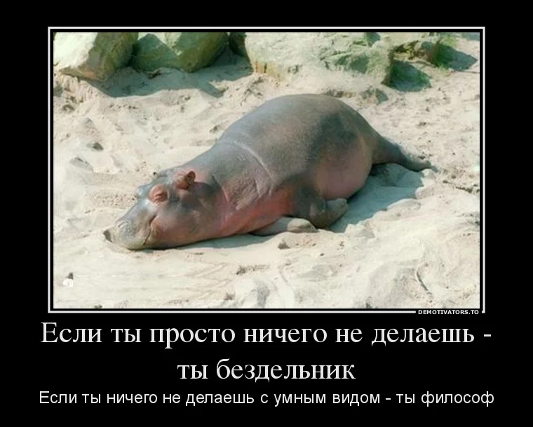 66365630_esli-tyi-prosto-nichego-ne-delaesh-tyi-bezdelnik.webp