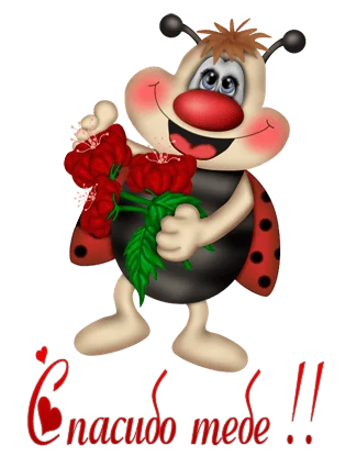 663afbbececd.webp