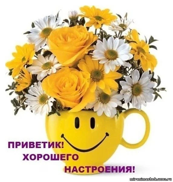 66418546_357192417.webp
