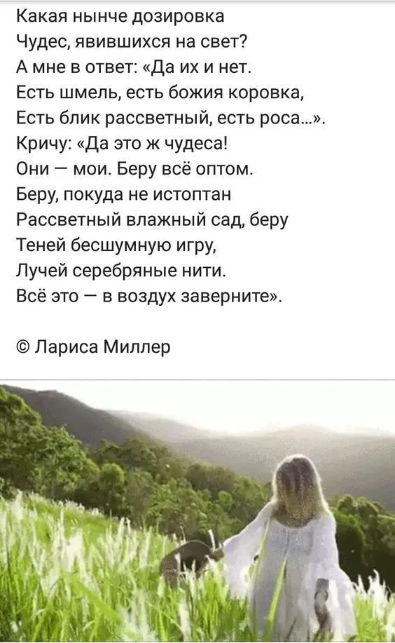 66593ce58ef25d5765d6e52d3cbb43a2 (1).jpg